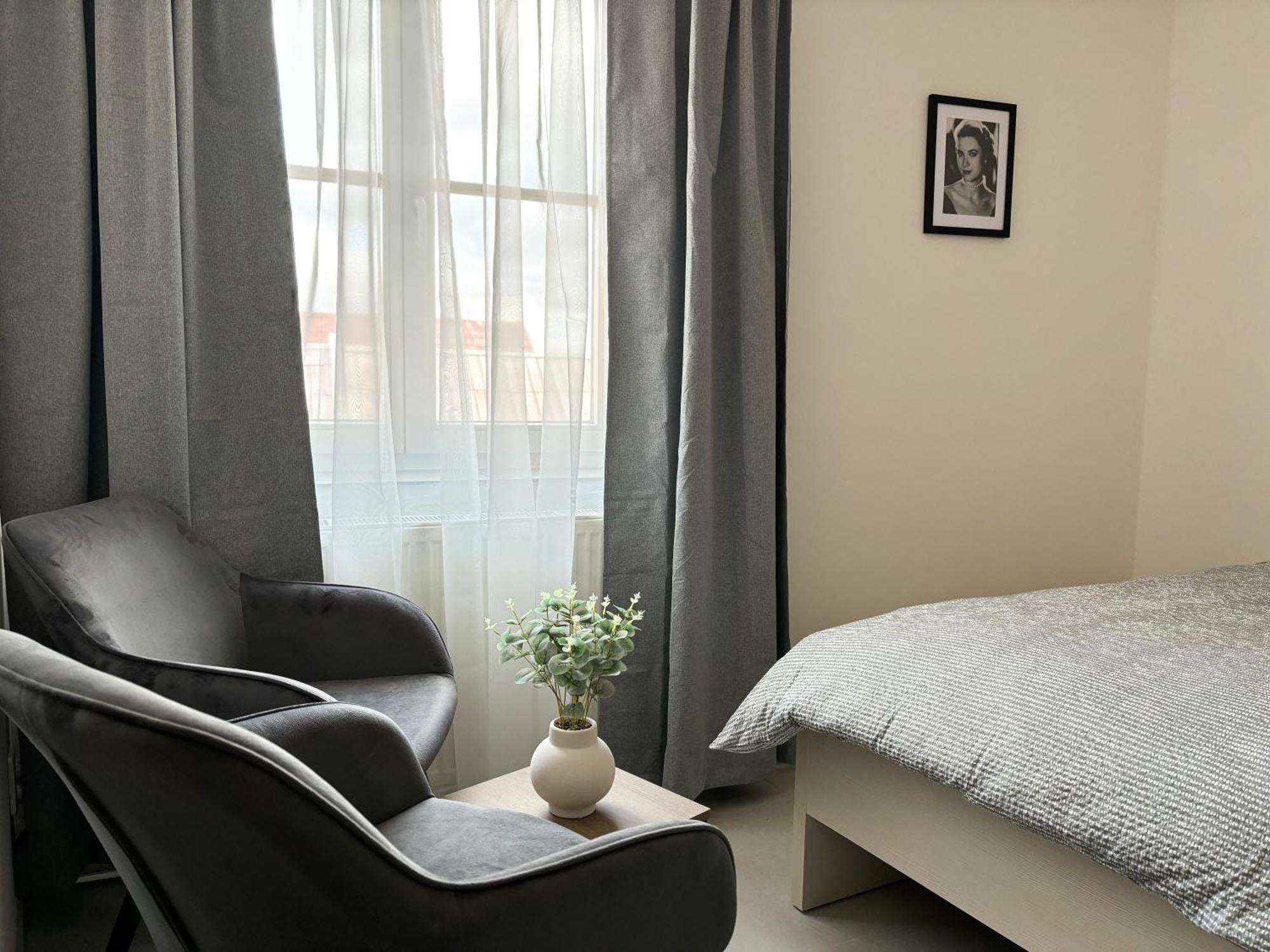 Apartmany Plzen Rolnicke Namesti 8 Dış mekan fotoğraf